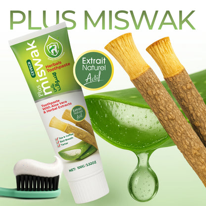 DENTIFRICE SIWAK PREMIUM - MAXI SMILE